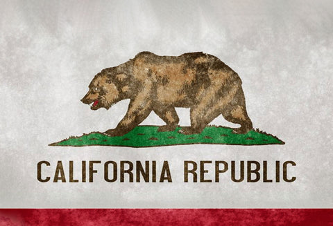 Controversial California Law Sparks Outrage and Debate over Pedophilia Protection